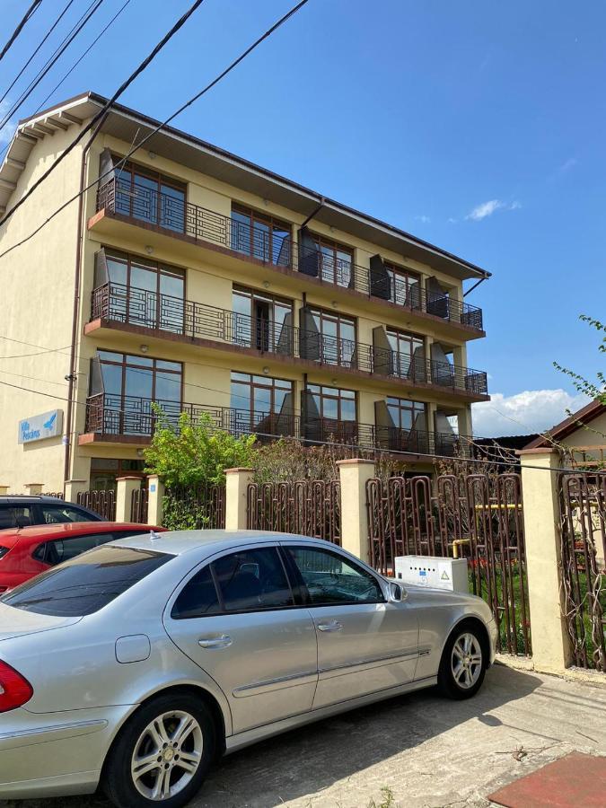 Villa Pescarus 코스티네스티 외부 사진