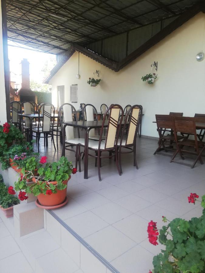 Villa Pescarus 코스티네스티 외부 사진