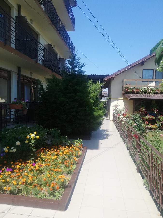 Villa Pescarus 코스티네스티 외부 사진